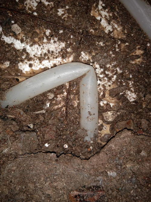 呼玛堵点精准查找